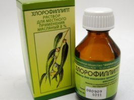 Обычный Хлорофиллипт: 9 рецептов лечения болезней недорогим препаратом