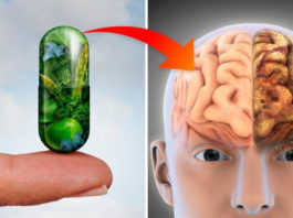 Исследования доказали: 3 витамина предотвращают потерю памяти и болезнь Альцгеймера
