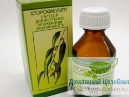 Хлорофиллипт — 9 рецептов лечения болезней недорогим препаратом. Очень эффективно!