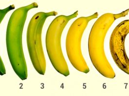 Стало известно, какие бананы действительно полезны. Теперь покупаю только такие!