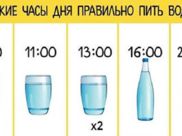 В какие часы дня следует правильно пить воду