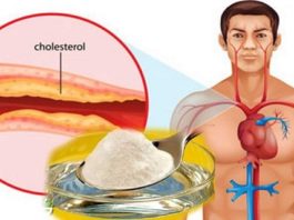 Лучшее средство борьбы с холестерином и высоким артериальным давлением