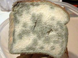 Врач-натуропат: Современный хлеб я считаю одним из самых страшных изобретений человечества